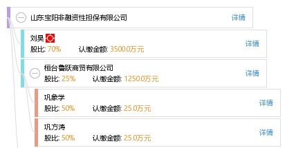 山東寶陽非融資性擔保業務解析