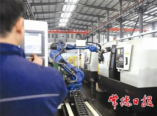 引金融活水，潤產業之花——常德財政推動非融資性擔保服務高質量發展